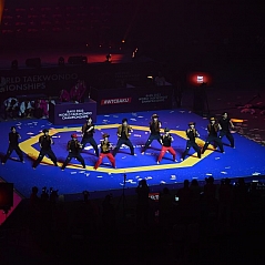 “26th Taekwondo World Championship”
